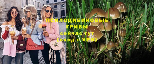 кокс Медвежьегорск