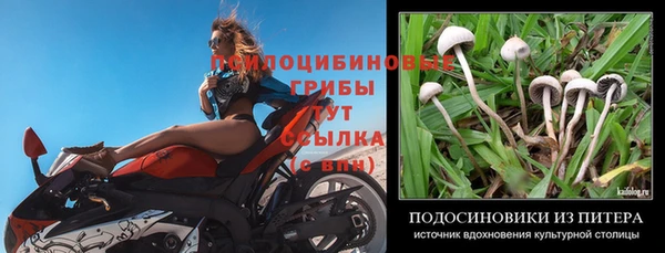 кокс Медвежьегорск