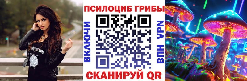 Галлюциногенные грибы мицелий  Тбилисская 